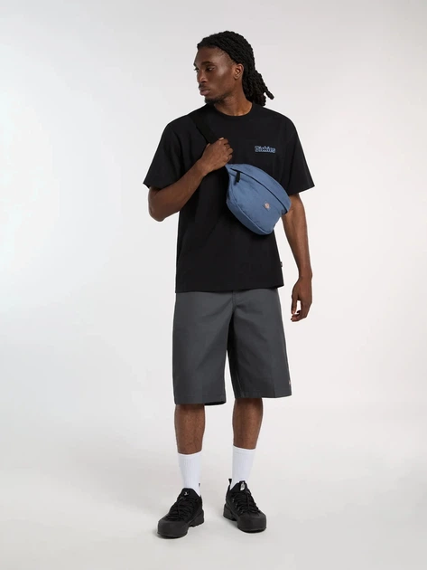 Koszulka bawełniana długa męska Dickies Fairlawn Ss DK0A88GEBLK1 M Czarna (800070354589) - obraz 3