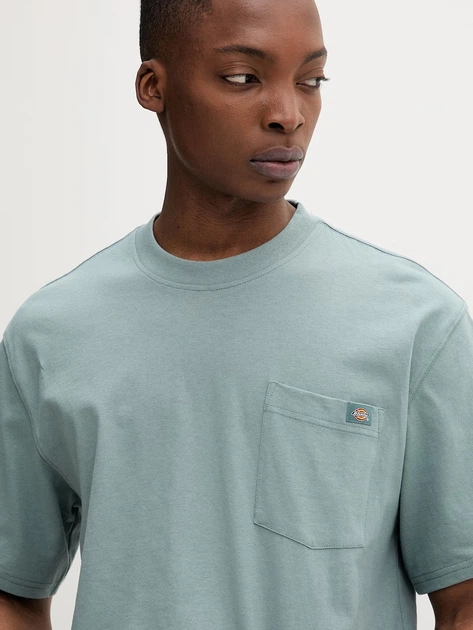 Koszulka bawełniana długa męska Dickies Luray DK0A4YFCL371 S Jasnobłękitna (800070354502) - obraz 3
