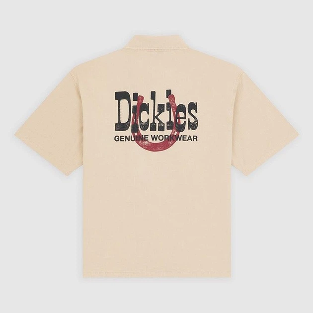 Koszula bawełniana męska Dickies Vernal DK0A88O8L171 M Beżowa (800070354643) - obraz 6