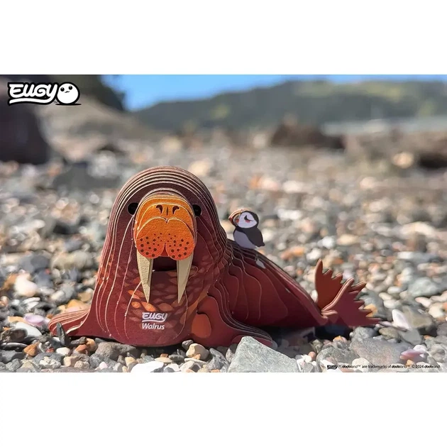 Збірна 3D модель Eugy Зоопарк Морж (XEG-107) - Фото 7 Збірна 3D модель Eugy Зоопарк Морж (XEG-107) - зображення 7