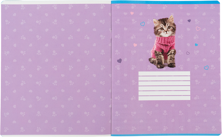 Набор тетрадей Kite Studio Pets 24 листа в клетку 10 шт (SP26-238/10) - Фото 4 Набор тетрадей Kite Studio Pets 24 листа в клетку 10 шт (SP26-238/10) - изображение 4