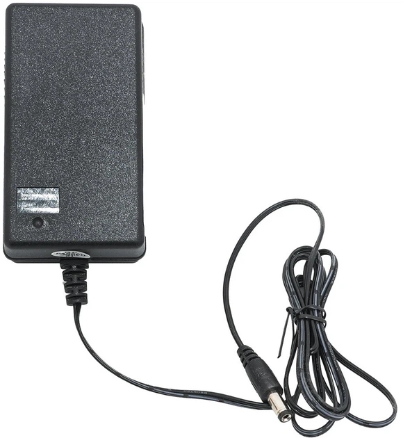 Ładowarka do pojazdów elektrycznych Ramiz 24V1500MA (5903864947021) - obraz 3