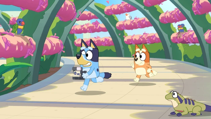 Gra NS Bluey's Happy Snaps Deluxe Edition (Kartridż) (3391892043778) - obraz 10