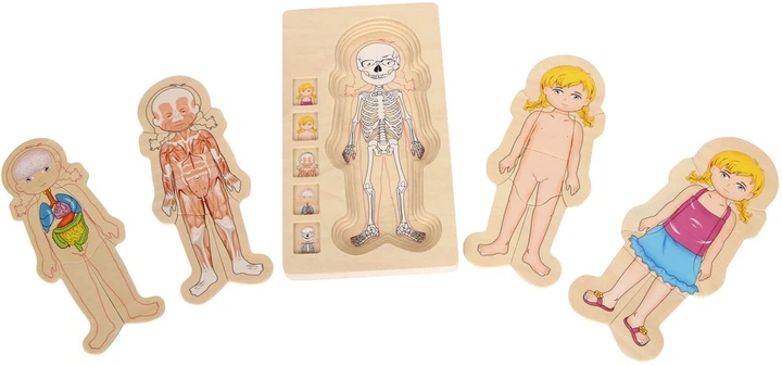 Układanka drewniana Small Foot Anatomy Girl warstwowa 29 elementów 5814 (4020972058140) - obraz 2