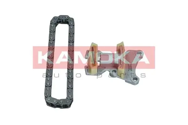 Комплект ланцюга ГРМ AUDI A1 10-18/ A3 03-15/ A4 00-09/ A6 04-11/ TT 06-15/ SEAT ALTEA 04- / EXEO 08-13/ LEO KAMOKA (7001571) - Фото 1 Комплект ланцюга ГРМ AUDI A1 10-18/ A3 03-15/ A4 00-09/ A6 04-11/ TT 06-15/ SEAT ALTEA 04- / EXEO 08-13/ LEO KAMOKA (7001571) - изображение 1