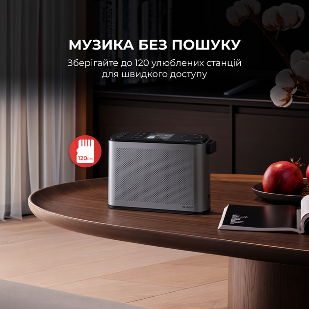 Радиоприемник Sharp DR-P540 Grey - изображение 10