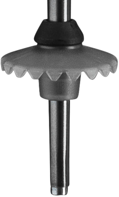 Kijki narciarskie Leki Bliss 120 cm Szare (4028173322442) - obraz 5