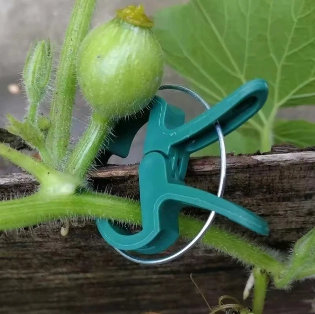 Клипсы для подвязки растений Parkside XL Plant Clips,16 шт - Фото 6 Клипсы для подвязки растений Parkside XL Plant Clips,16 шт - изображение 6