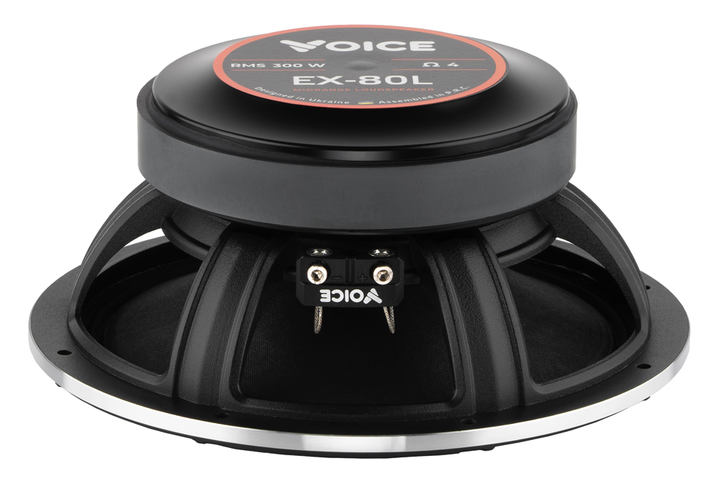 Эстрадная акустика динамики 20 см мощные и громкие 600 Ватт Voice EX-80L - изображение 6