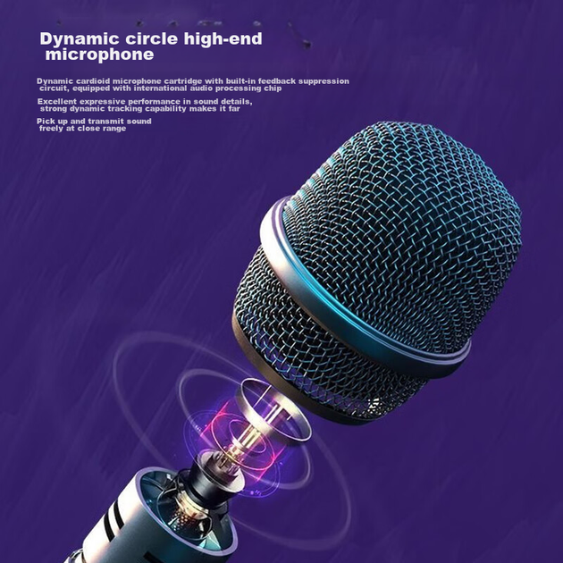 Микрофон беспроводной SANSUI H2S, ручной, с двумя микрофонами, профессиональный - изображение 5