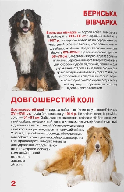 Книга «Велика книжка. Службові собаки». Автор - Олег Зав'язкин - зображення 2