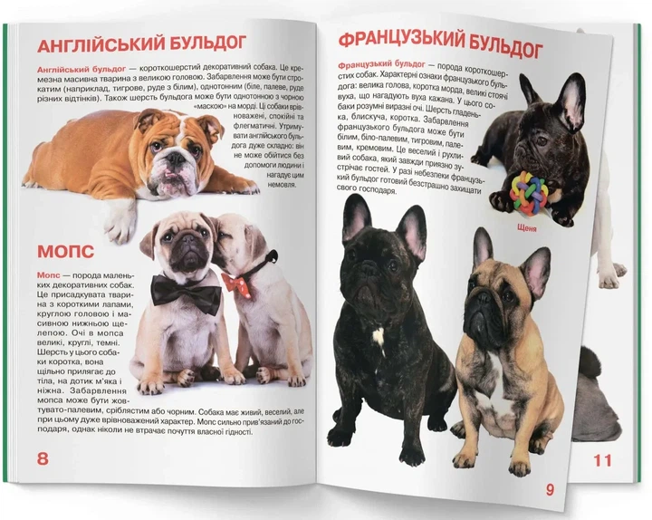 Книга «Велика книжка. Собаки». Автор - Олег Зав'язкин - изображение 3