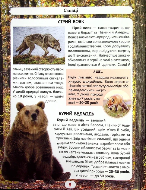 Книга «Світ навколо нас. Хто скільки живе?». Автор - Дмитро Турбаніст - Фото 7 Книга «Світ навколо нас. Хто скільки живе?». Автор - Дмитро Турбаніст - зображення 7