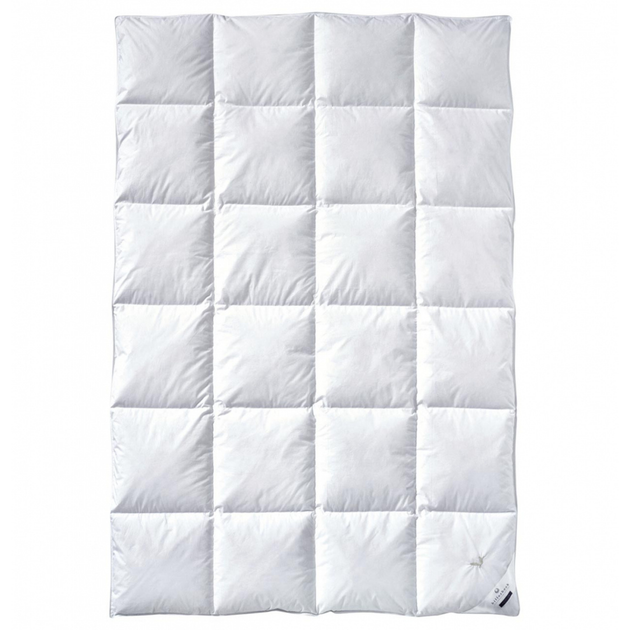 Одеяло Billerbeck E04 Goldedition Mono 155x220 см белый 5542258005 - Фото 1 Одеяло Billerbeck E04 Goldedition Mono 155x220 см белый 5542258005 - изображение 1