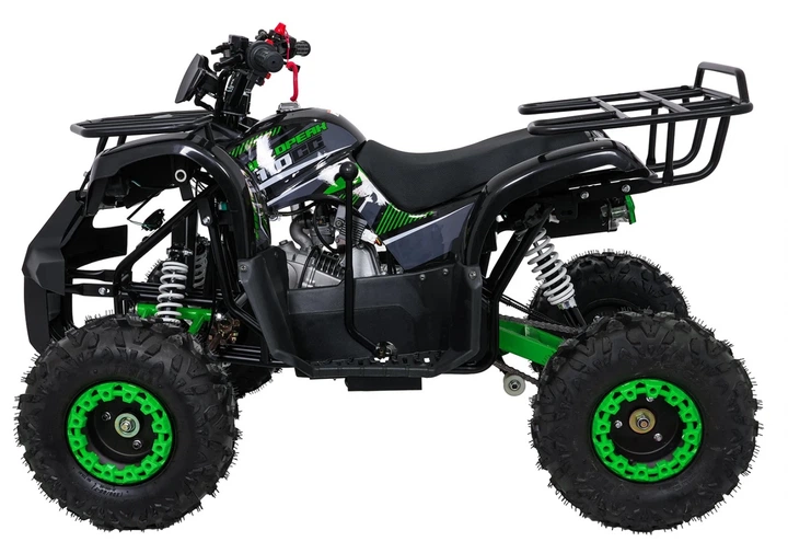 Квадроцикл Wildpeak 110CC бензиновий зелений PSP.ATV006.ZIE (5903864960525) - зображення 16