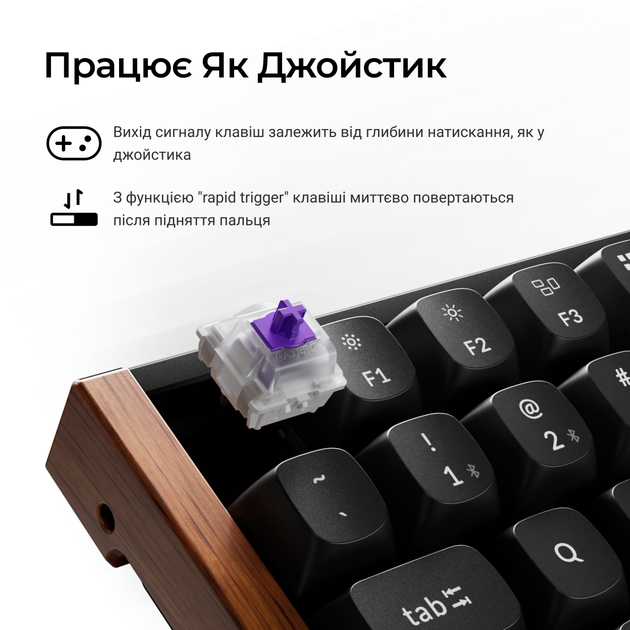 Клавиатура беспроводная Keychron K2 HE Magnetic Switch Black RGB (K2H-F1-UA) - Фото 11 Клавиатура беспроводная Keychron K2 HE Magnetic Switch Black RGB (K2H-F1-UA) - изображение 11
