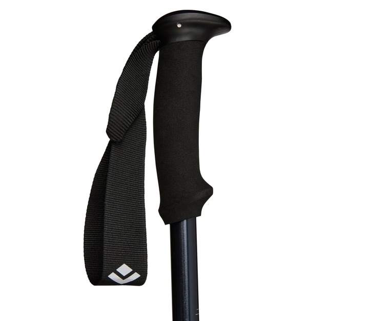 Треккинговые телескопические палки Black Diamond Trekking Explorer 2, Ink Blue (BD 1125504014ALL1) - изображение 4