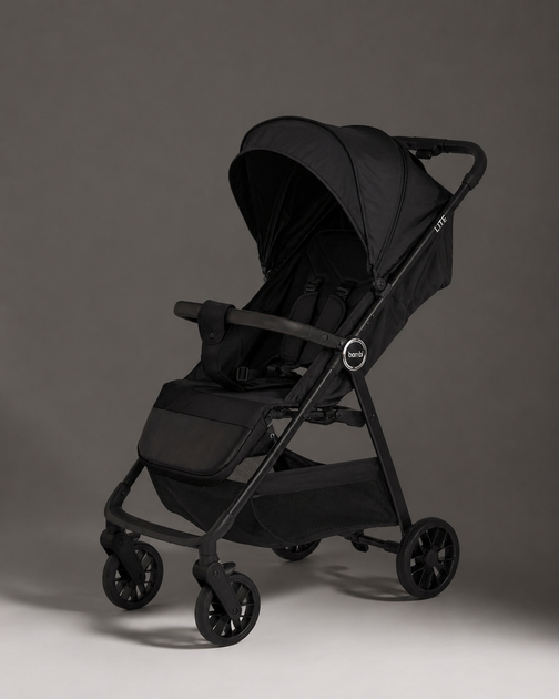 Детская прогулочная Коляска BAMBI LITE (M 6317 Black) - изображение 2
