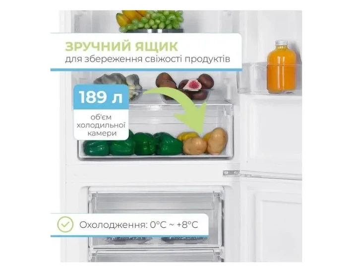 Холодильник з морозильною камерою INTERLUX ILR-0280CWD - зображення 5