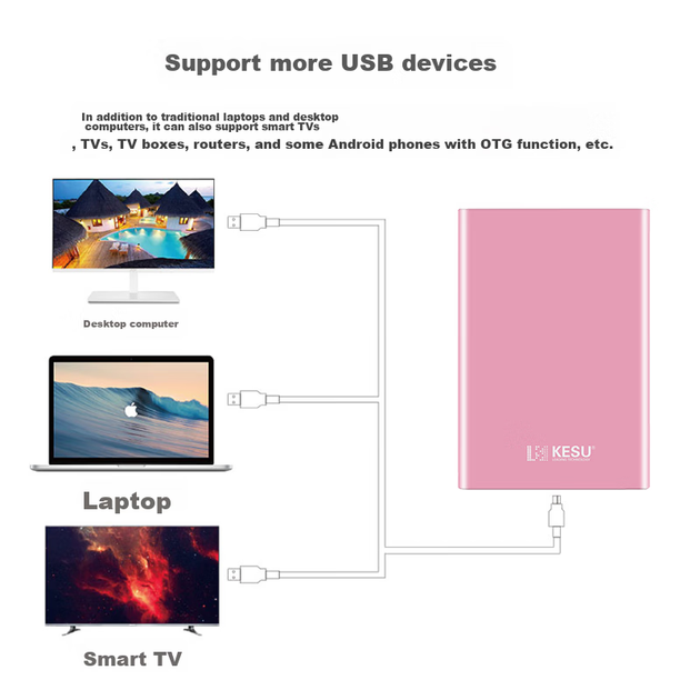 Внешний жесткий диск KESU, 500 ГБ, USB 3.0, K201, 2,5 дюйма, премиальный металлический корпус, розовый цвет «вишневый цветок», внешний механический жесткий диск для хранения файлов и резервного копирования фотографий, большой USB-накопитель. - Фото 6 Внешний жесткий диск KESU, 500 ГБ, USB 3.0, K201, 2,5 дюйма, премиальный металлический корпус, розовый цвет «вишневый цветок», внешний механический жесткий диск для хранения файлов и резервного копирования фотографий, большой USB-накопитель. - изображение 6