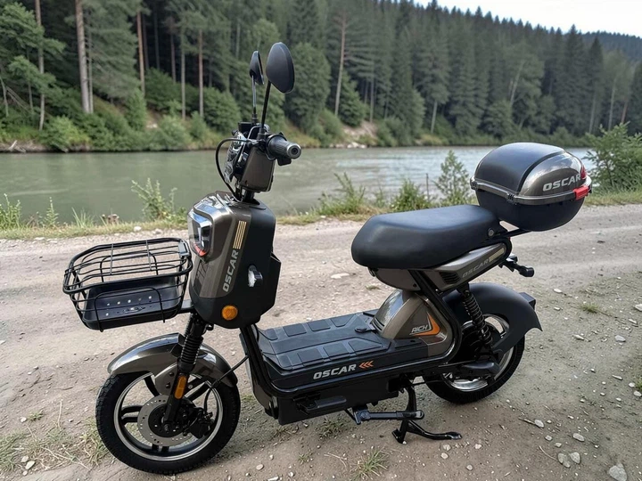 Электроскутер Oscar Rich 1000W 60V 25Ah графит городской электробайк - изображение 2