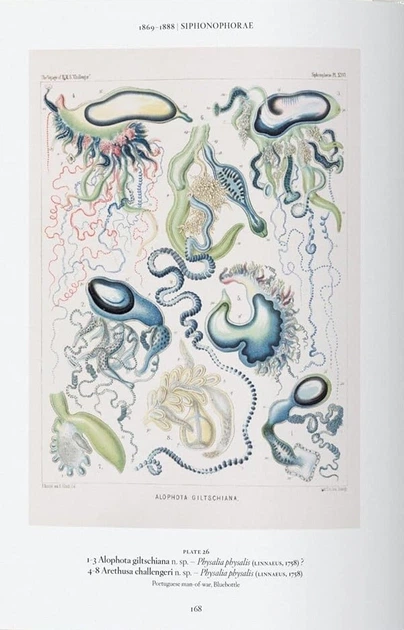 The Art and Science of Ernst Haeckel - Райнер Віллманн, Юлія Восс (9783836584289) - зображення 7