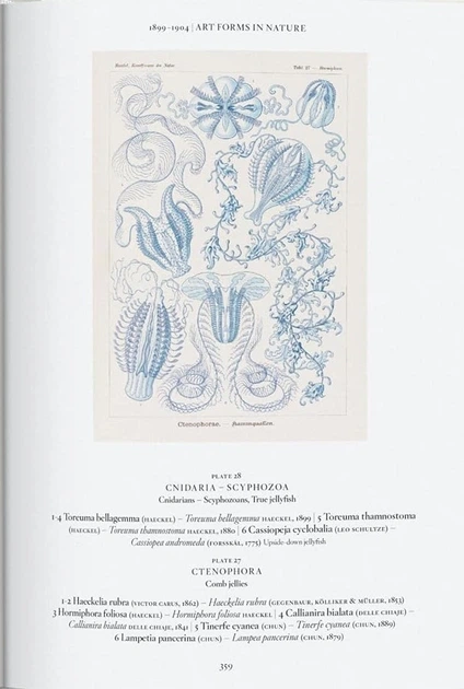 The Art and Science of Ernst Haeckel - Райнер Віллманн, Юлія Восс (9783836584289) - зображення 11