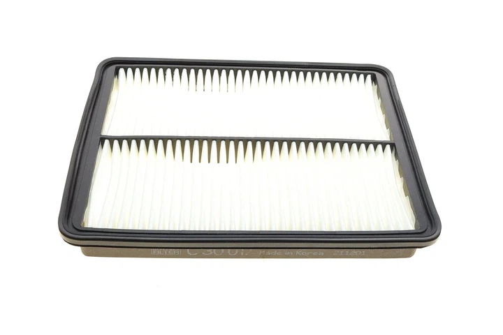 Повітряний фільтр MANN C30017 Hyundai Santa Fe 19372654, 281132W100 - изображение 6