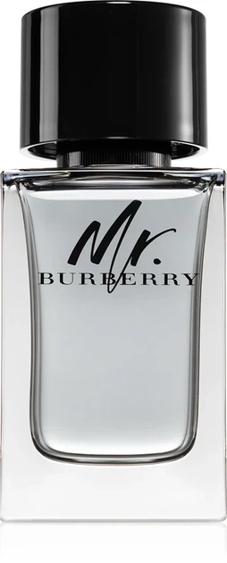 Туалетна вода Burberry Mr. Burberry edt 100ml - зображення 2