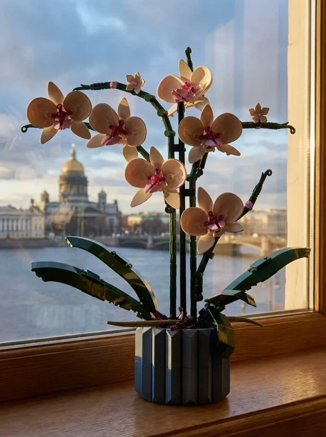 Квітка конструктор Орхідея з вазою 10311 icons Botanical 608 деталей квіти в горщику реалістична колекція подарунок - зображення 6