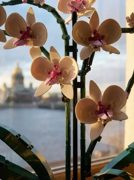 Квітка конструктор Орхідея з вазою 10311 icons Botanical 608 деталей квіти в горщику реалістична колекція подарунок - зображення 7