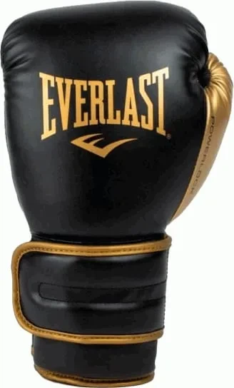Боксерские перчатки Everlast 16 унций полиуретан черные золотые - Фото 2 Боксерские перчатки Everlast 16 унций полиуретан черные золотые - изображение 2