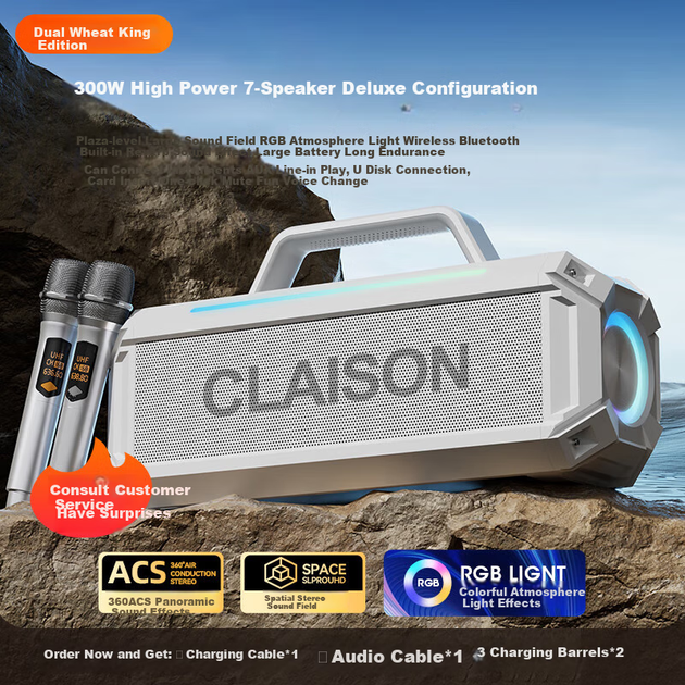 Bluetooth-колонка CLAISON T91 [Berlin Sound] Домашній комплект KTV з караоке-мікрофоном, універсальний портативний сабвуфер для Square Dance, білий - зображення 8