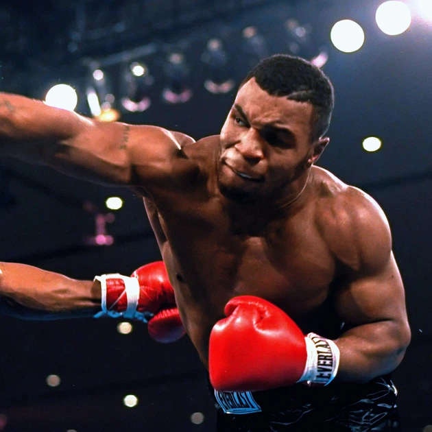 Інтер'єрна картина Майк Тайсон та Тревор Бербік, Mike Tyson, бокс, 60×85 см (id5517) - зображення 5