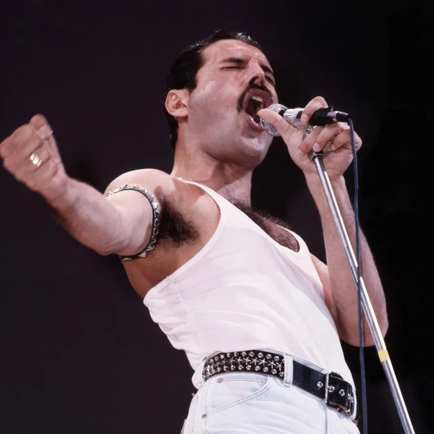 Інтер'єрна картина Фредді Мерк'юрі, Freddy Mercury, Queen, Квін, концертне ретро фото, рок, 60×86 см (id7287) - зображення 3