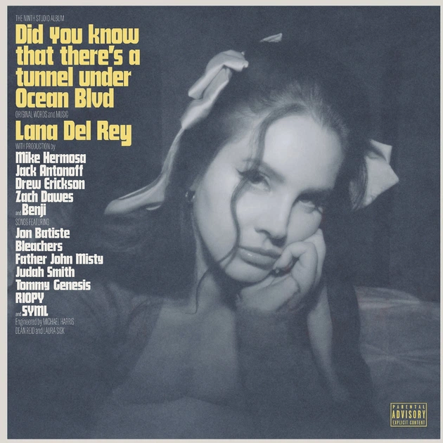 Інтер'єрна картина Лана Дель Рей, Lana Del Rey, Did you know (2023), 42×30 см (id4022) - зображення 3
