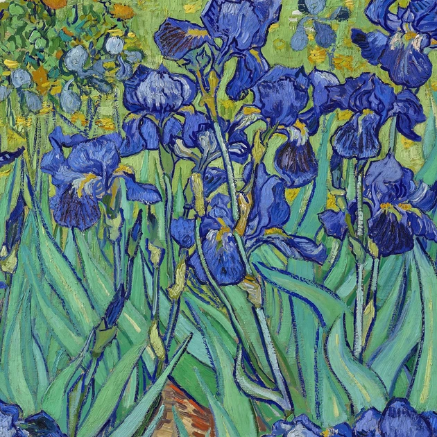 Интерьерная картина Ирисы, Винсент ван Гог, Irises, Vincent van Gogh, интерьерный декор, 47×60 см (id6820) - изображение 6
