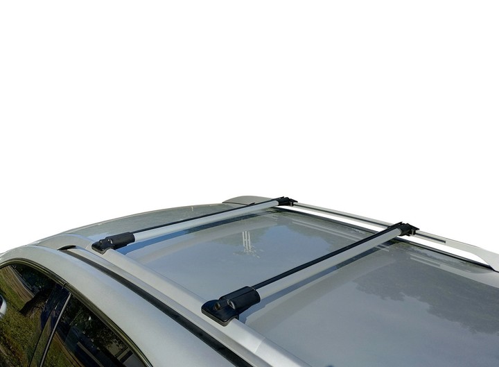 Рейлинги на крышу автомобиля Renault Trafic III 2014-2021