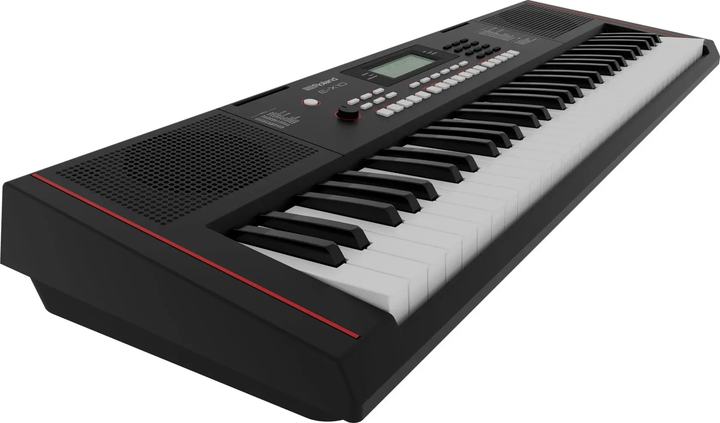Синтезатор Roland E-X10 - изображение 2