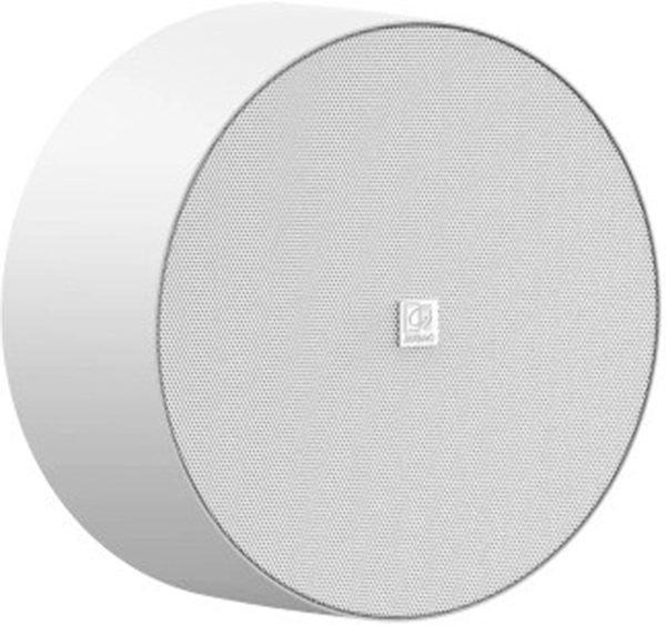 Динамік настінний AUDAC NELO706I White (2SA0989) - Фото 1 Динамік настінний AUDAC NELO706I White (2SA0989) - зображення 1