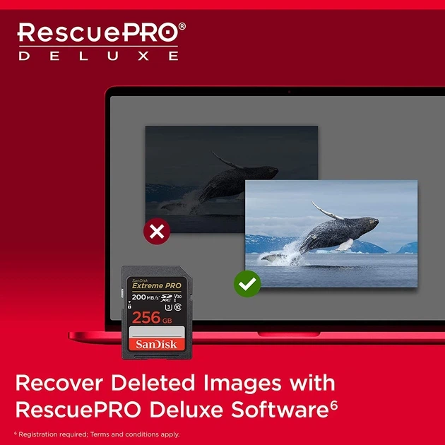 Карта пам'яті SD 256Gb SanDisk Extreme PRO class 10 UHS-I U3 V30 (SDSDXXD-256G-GN4IN) - изображение 7