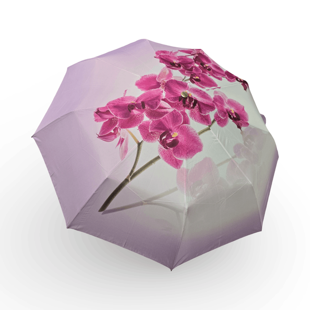 Женский зонт-автомат Rain Flowers, 9 спиц, карбон, подарочная упаковка R01070F7 - Фото 5 Женский зонт-автомат Rain Flowers, 9 спиц, карбон, подарочная упаковка R01070F7 - изображение 5