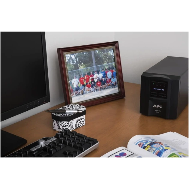 ИБП (UPS) APC Smart-UPS 750VA LCD SmartConnect (SMT750IC) - изображение 5