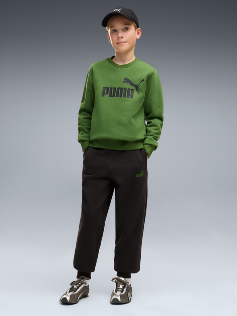 Детский спортивный костюм (свитшот + штаны) для мальчика Puma Essentials No.1 Logo 68972169 122-128 см Earthy Green (4070033471036) - Фото 1 Детский спортивный костюм (свитшот + штаны) для мальчика Puma Essentials No.1 Logo 68972169 122-128 см Earthy Green (4070033471036) - изображение 1