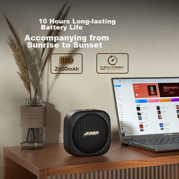 Портативная колонка F&D RW10 7W - изображение 4