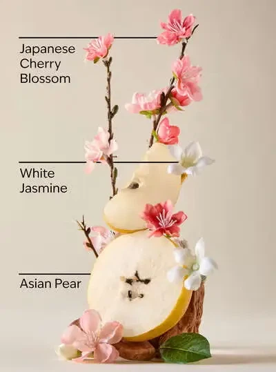 Мыло-пенка для рук Bath&Body Works Japanese Cherry Blossom Gentle & Clean Foaming Hand Soap 259 мл (667659338757) - изображение 4