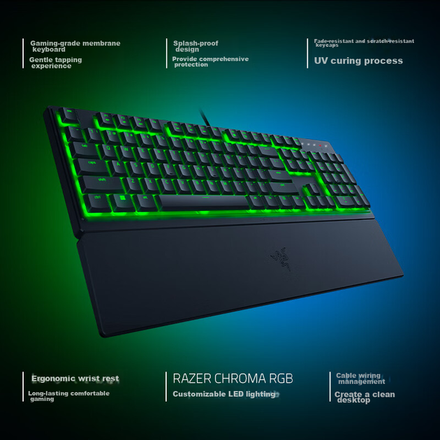 Клавиатура Razer Rainforest Wolf Spider V3 X - изображение 3