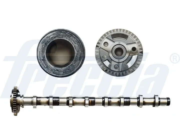 Розподільний вал FRECCIA CM052187 Volkswagen Passat; Audi A6, A4, Allroad; Skoda Superb 059109009BH, 059109022AF, 059109022BQ - Фото 1 Розподільний вал FRECCIA CM052187 Volkswagen Passat; Audi A6, A4, Allroad; Skoda Superb 059109009BH, 059109022AF, 059109022BQ - изображение 1
