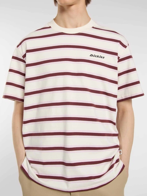 Футболка Dickies 10223422 Белый XL DIM636 - Фото 4 Футболка Dickies 10223422 Белый XL DIM636 - изображение 4