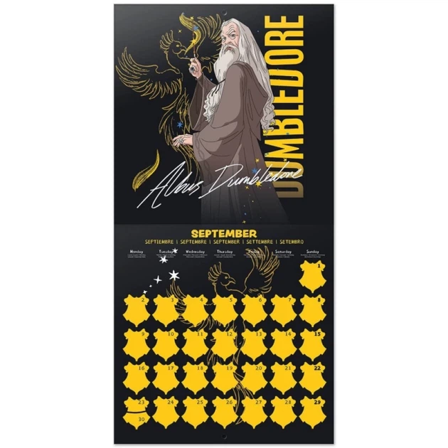 Календарь настенный Harry Potter 2024 (30 x 30 см) - изображение 2